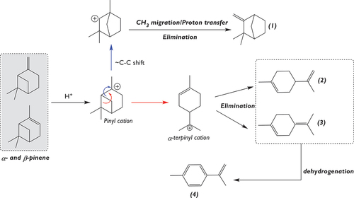 Figure 3. Proposal reaction pathway for the products obtained from the isomerization of pinenes. (1) Camphene (2) Limonene (3) Terpinolene (4) a-p-dimethylstyrene.