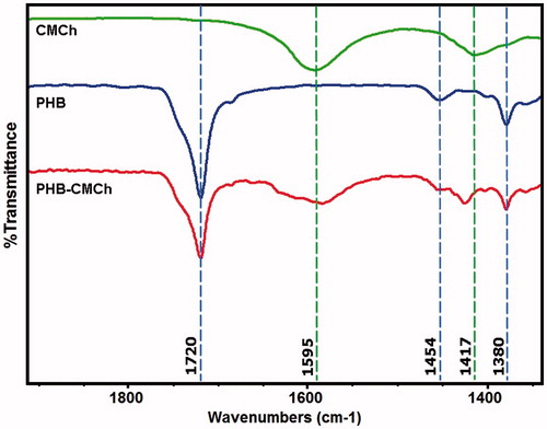 Figure 3. FTIR spectra of the CMCh, PHB polymer, and PHB–CMCh nanoparticles.