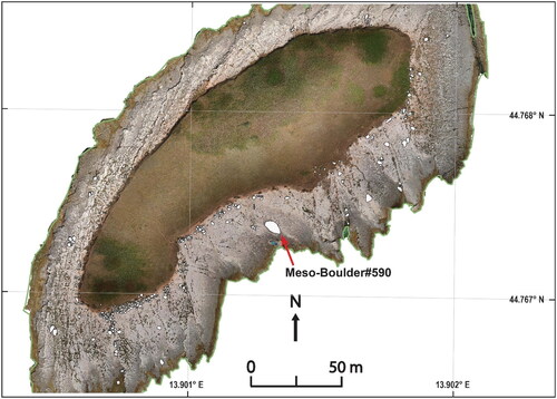 Figure 5. The spatial distribution of coastal boulders (white polygons), the red arrow indicates the largest boulder on the island (b-axis length is 4.81 m).