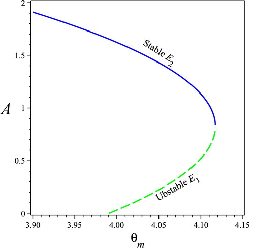 Figure 7. Bifurcation diagram for Model (Equation4(4) L′=γSLmaxaA2b+aA2−βL,A′=βL−dA2,Ap′=βL⋅max{0,∂SL∂ApAc}+(max{0,∂SL∂ApAc}Ac−max{0,∂SL∂AcAp}Ap)L−dAAp.(4) ) on the optimal nutrient ratio θm. An unstable interior equilibrium (green dotted) bifurcates θm∗=12(θc+α1−α+α3γ4dβ2(1−α)2−bdaαγ). The solid line indicates that the equilibrium is stable, while the dotted line indicates that the equilibrium is unstable. Parameters values: a=0.15,b=0.1,d=0.1,α=0.3,β=0.7,γ=0.9,θc=7.8.