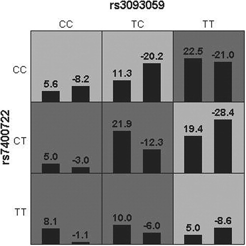 Figure 1. Interaction information for two SNPs by GMDR method. In each cell, the left bar represents a positive score, and the right bar represents a negative score. High-risk cells are indicated by dark shading, low-risk cells by light shading.