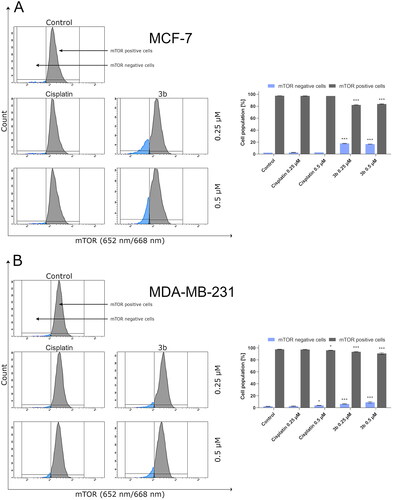 Figure 12. Anti-mTOR antibody flow cytometric analysis of MCF-7 (A) and MDA-MB-231 (B) breast cancer cells compared to a negative control cell after 24 h of incubation with 3b and cisplatin (0.25 μM and 0.5 μM). Mean percentage values from three independent experiments done in duplicate are presented. *p < 0.05 vs. control group, ***p < 0.001 vs. control group.