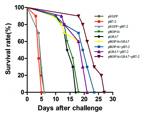Figure 4. Survival curves of immunized Kunming mice after T. gondii challenge infections. Ten mice per group were challenged with 1000 tachyzoites of the virulent T. gondii RH strain on the 4th week after the final immunization. Mortality was monitored daily for 27 d post-challenge with the parasites.