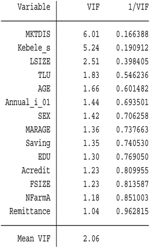 Figure A1. Multicollinearity test.