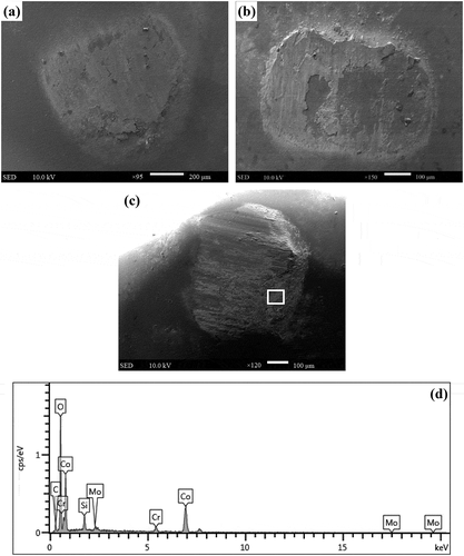Figure 16. Worn scars observed after sliding ceramic balls against different alloys at 1000 °C: (a) CNi, (b) CW, (c) CMo and (d) EDS analysis of transferred layer of CMo