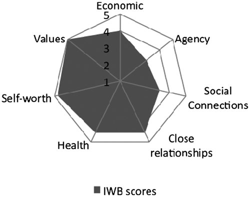 Figure 1. Sukhi: IWB domain scores.