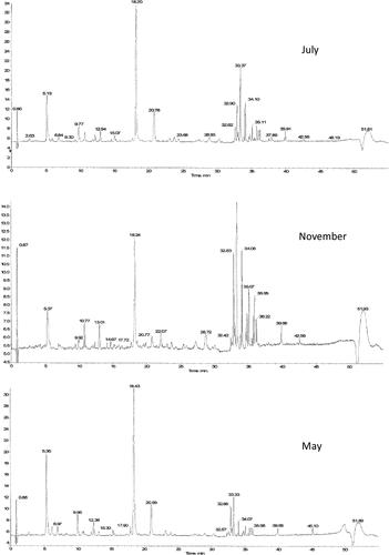 Figure 2. UV chromatograms (λ = 365 nm) of methanolic extracts of A. herba-alba.