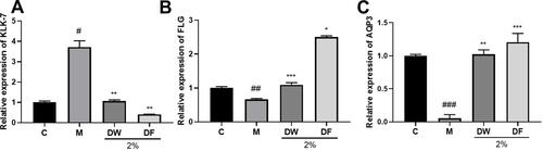 Figure 7 Effects of DF on relative expression of related skin barrier factors in HaCaT cells (A–C): effects of DF and DW at 2% concentration on KLK-7, FLG and AQP3. The student’s t-test was performed to determine statistical significance (*P < 0.05, **P < 0.01, ***P < 0.001, versus the control group; #P < 0.05, ##P < 0.01, ###P < 0.001, versus the control group. C: Control group; M: UVB irradiation model group).