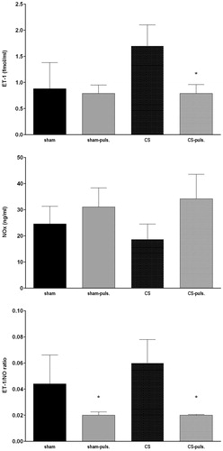 Figure 3. Perfusate levels of the vasoconstrictor endothelin-1 (ET-1) and endogenous vasodilator NO, as well as their ratio upon isolated perfusion of freshly excised (sham) or previously cold stored (CS) kidneys upon non-pulsatile or pulsatile (puls.) perfusion conditions. (*: p < .05 vs respective non-pulsatile perfusion).