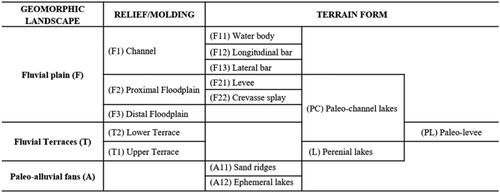 Figure 3. Hierarchical classification of mapping units of the middle Tocantins River.