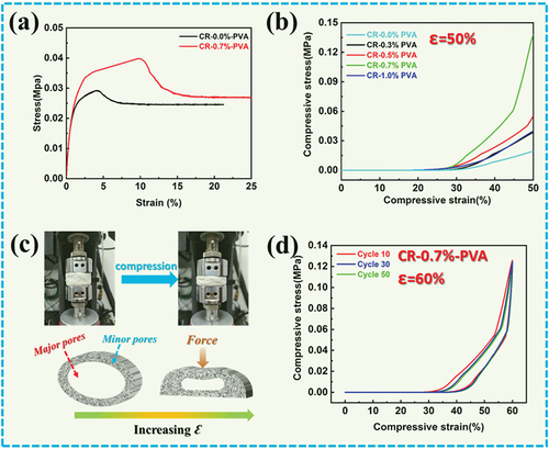 Figure 3. A) Tensile stress of CR-0.0%-PVA and CR-0.7%-PVA; b) Compressive stress of CR-n %-PVA; c) Schematic illustration of aerogel deforming during compression; d) Compression-rebound curves of CR-0.7%-PVA at 60% strain for 50 cycles.