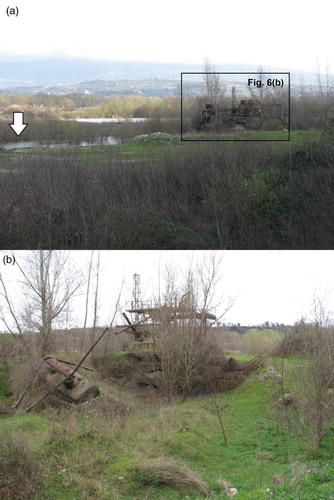 Figure 6. (a) Abandoned sediment extraction site to the northwest of Solopaca village. Note, to the left, the emergence of the groundwater table (white arrow). (b) Details of (a).