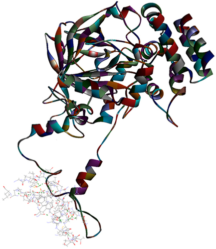 Figure 4 Top pose in largest z-ranked clustering of catalase (1DGG) from P. ostreatus, L. edodes and A. bisporus with Mpro of COVID-19 (6XQU) (line shaped).