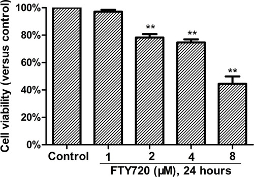 Figure 4 Cytotoxicity of FTY720 on MH7A cells. Cells were treated with different concentrations of FTY720 for 24 h, and the viability was determined using the CellTiter-Blue® Cell Viability Assay. **P<0.01 versus the group without FTY720 treatment. The data are presented as the means ± standard deviation of three independent experiments.