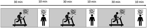 Figure 1. Schematic overview of the study protocol: alternating 30 min of walking and 10 min of rest. Participants wore a ∼15 kg backpack throughout. Cognitive evaluation took place during both the 30-min walking blocks and 10-min breaks.