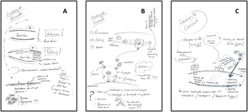 Figure 4. The drawings of one student in the pilot study: (a) before the teaching; (b) after two weeks of lectures and independent reading; and (c) after a subsequent three-hour experimental class.