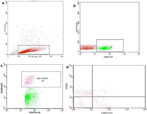 Figure 2. Flow cytometry gating strategy of follicular helper T cells (Tfh) and follicular regulatory T cells (Tfr) using FACSDiva software (Becton Dickinson Biosciences, USA).