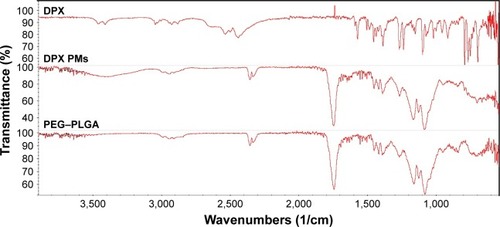 Figure 1 FTIR spectra of DPX, DPX PMs, and PEG–PLGA.Abbreviations: DPX, dapoxetine; FTIR, Fourier transform infrared; PEG–PLGA, poly(ethylene glycol) methyl ether-block-poly(lactide-co-glycolide); PMs, polymeric micelles.