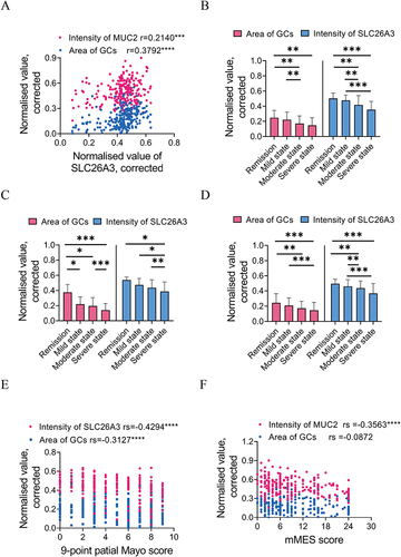 Figure 3 Relationship between quantification of mucus-related index by histological staining and clinical activity.