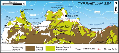 Figure 2. Simplified geological map showing the general distribution of the main lithologies occurring in the NW Sicily FTB.