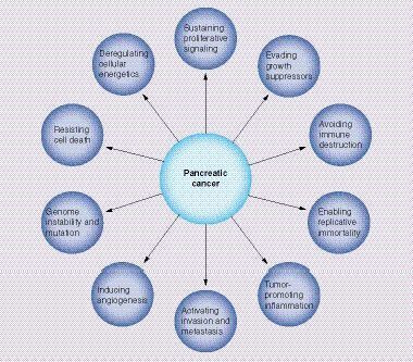 Figure 5. Targetable mechanisms in pancreatic cancer.Adapted with permission from [Citation135].