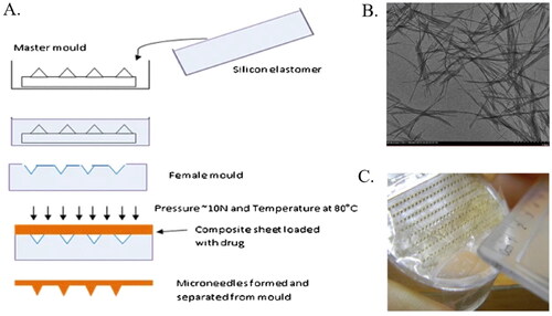 Figure 4. Lidocaine cellulose composite microneedle preparation flow chart. (A) Microneedle manufacturing schematic. (B) Transmission electron microscopy (TEM) showing cellulose microfibrils. (C) Lidocaine fish scale biopolymer nanocellulose MNs arrays. Reprinted with permission from Medhi et al. (Citation2017), copyright© 2017 American Association of pharmaceutical scientists.