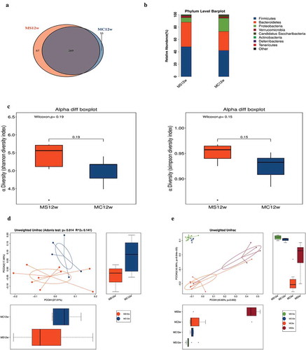 Figure 7. Maternal sucralose intake exacerbated gut dysbiosis in 12-week-old offspring mice. Venn diagram (a). Relative abundance of bacterial genera in two groups (b). Alpha diversity including Shannon and Simpson diversity index (c). PCoA with Adonis test indicating Beta diversity was shown (d). PCoA at 3 and 12 weeks offspring based on unweighted UniFrac distances (e). MC, maternal control diet. MS, maternal sucralose intake. PCoA, principal coordinate analysis. MC: n = 5, MS: n = 9. *p < .05, **p < .01.