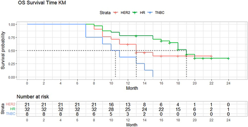 Figure 2 Kaplan–Meier analysis and subgroup analysis of overall survival. The median overall survival was 19.7 months in the hormone positive group, 13.2 months in the HER-2 positive group, and 9.4 months in the triple breast cancer negative group.