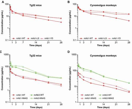 Figure 2. Comparison of pharmacokinetic profiles in (A/C) Tg32 mice and (B/D) cynomolgus monkeys. Administration of (A/B) FcRn-modulating LS and YD mutations; (C/D) mAb1 or mAb3, WT and mutated Fc backbones, Fc-silencing FcγRIIIa (NNAS). Abbreviations: mAb = monoclonal antibody, WT = wild type