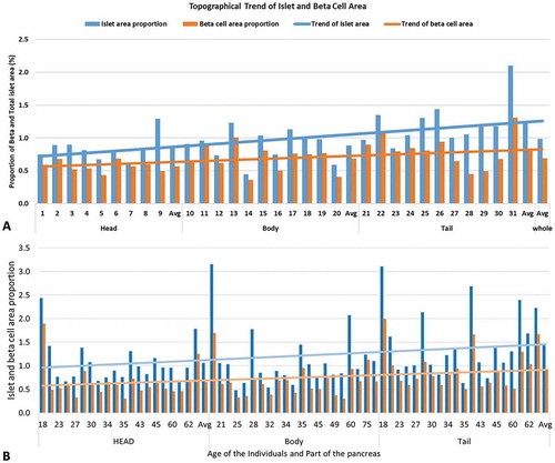 Figure 3. (A) Regional variation of the islet and beta cell area proportion in 34 years old female pancreas of BMI 20.89 kg/cm2. The proportion of total islet and beta cell area were heterogeneously distributed from head to tail. (B) Inter-individual comparison of the topographical variation of endocrine proportion and its trends (n = 20).