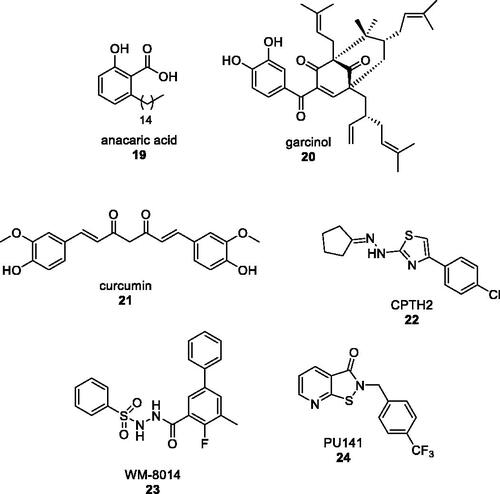 Figure 3. Natural and synthetic HATs inhibitors.