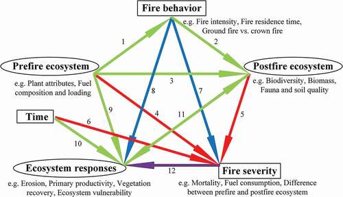 Figure 3. Conceptual model for fire severity measuring. Ellipse indicates latent variable; rectangle indicates manifest variable. Besides, green lines indicate respective relationships that are significant but restricted/ non-unique; purple lines indicate relationships that we expect to recognize; red lines indicate relationships that must be utilized, which are the cornerstones of all fire severity measurement methods; blue lines indicate relationships that are difficult to be observed or exploited