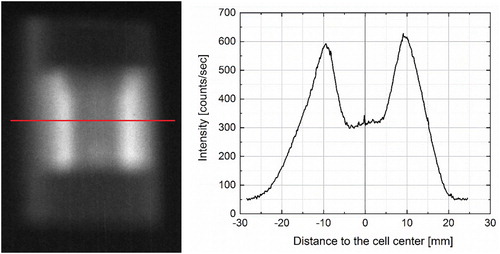 Figure 7. Neutron transmission of the loaded CuBe2 cell at POLI – (left) The cell image recorded by the neutron scintillation camera. The red line indicates the sample position and the path of the neutron beam; (right) neutron intensity along the red line shown on the left. The transmission is defined as the ratio between the mean intensity in the centre of the cell and the one at the edge (the distance to the cell centre of about 8 mm) with subtracted background.