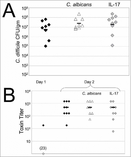 Figure 2. C. difficile spore levels and toxin production are unaffected in pre-colonized or IL-17A-treated mice. (A) Mice were treated as described in Fig. 1A. Mice were euthanized 2 days post-C. difficile inoculation and cecal contents were collected. Samples were heated at 60°C for 10 min and C. difficile spores were enumerated by plating on TCCFA. Black diamonds, received PBS and C. difficile; open triangles, received C. albicans, PBS and C. difficile; grey diamonds, received IL-17A and C. difficile. Each symbol shows CFU/gm from an individual mouse; the bar shows the geometric mean. (B) C. difficile toxin titer in fecal or cecal extracts was measured by a cell-rounding assay. Fecal pellets were collected 1 day post-inoculation. Cecal contents were collected after mice were sacrificed on day 1 or 2 post-inoculation. Toxin titer is defined as the inverse of the greatest dilution that produced 100% cell rounding. Black diamonds, received PBS and C. difficile; open diamond, samples that yielded no detectable toxin activity (23 indicates that 23 of the 24 samples yielded undetectable toxin levels); open triangles, received C. albicans, PBS and C. difficile; grey diamonds, received IL-17A and C. difficile. Each sample shows results from an individual mouse and the bar shows the median.