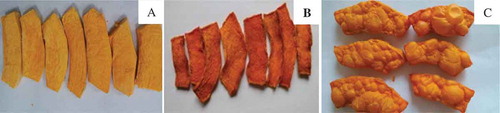 Figure 1. Dried pumpkin chips after A: freeze drying; B: hot air drying; and C: microwave vacuum drying.