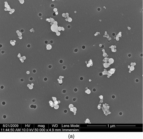 FIG. 7 Morphology of metal nanopowders manufactured by the wire electrical explosion process. The sampling was conducted downstream of the evaporation chamber; (a) SEM image; (b) TEM image.