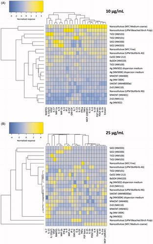 Figure 4. Hierarchical cluster analysis of cytokine profiling data. The heatmaps show the hierarchical cluster analysis of cytokine, chemokine and growth factor secretion by human macrophage-like THP.1 cells exposed to (A) 10 and (B) 25 µg/mL of the indicated ENMs. Complete linkage and Euclidean distances were employed as metrics to draw association dendrograms between cytokines and ENMs. Each branch in the dendrograms shows the similarity between samples; the shorter the branch, the more similar are the samples. Association clusters for ENMs and cytokines are represented by dendrograms at the left and at the top of each heatmap, respectively.