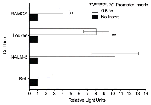 Figure 2 BAFF-R-expressing early B cell lines show significant BAFF-R promoter reporter activity. The genomic region spanning the 0.5 kb upstream of TNFRSF13C, the gene encoding BAFF-R, ending 6 bp 5′ of the start codon, was cloned and inserted into firefly luciferase reporter vector pGL3-Basic. This reporter was co-transfected into the target cell lines by electroporation with a fixed amount of control Renilla luciferase reporter vector pRL-TK. Specific promoter activity is reported as relative light units, the ratio of firefly: Renilla luciferase activity normalized to the relative activity of the empty pGL3-Basic vector. **p < 0.01.