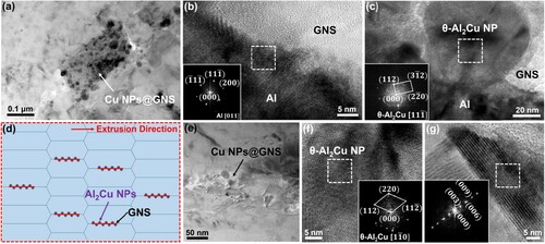Figure 2. (a–c) TEM images and (d) schematic diagram of the microstructure of Al–Cu NPs@GNS-CPS-HE composite; (e–g) the microstructure of solution and ageing Al–Cu NPs@GNS-CPS-HE composite.