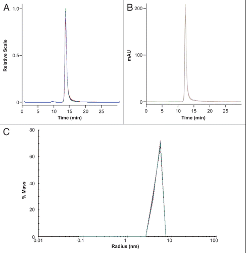 Figure 2 Analytical SEC-MALS profile of ch14.18. SEC-MALS and data analysis are performed as described in Materials and Methods. (A) is light-scattering signal overlay and (B) is UV280 signal overlay. (C) is batch mode DLS of ch14.18. Shown is a typical DLS overlay of the % mass vs. radius plot of ch14.18. DLS of eight sample vials (reference standard, samples control vials retained under stability control in-house and sample material retained after use in the clinic and returned for test). The overlay includes samples scanned directly and after filtration through 0.2 µm filtration.