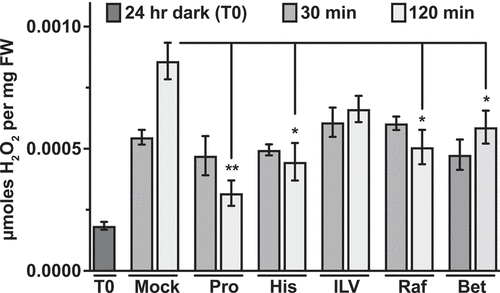 Figure 3. Effect of amino acid supplementation on GCN2 activation under excess-light stress. Relative H2O2 levels in 12-days-old wild-type seedlings subjected to excess-light stress as indicated in Figure 2. Mock (water), 5 mM Proline (Pro), 5 mM Histidine (His), mixture of 5 mM isoleucine + leucine + valine (ILV), 5 mM Raffinose (Raf), 10 mM glycinebetaine (Bet). Error bars represent standard error mean from three independent experiments. Welch’s t-test P-value ** <0.005, * <0.05 in comparison with Mock 120 min of excess-light.