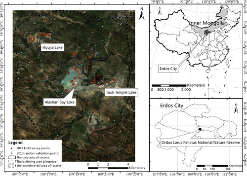 Figure 1. Location of the Ordos Larus relictus National Nature Reserve with field survey points in 2014 and random validation points in 2010. Landsat OLI image (acquired on 7 September 2014) provides background image.