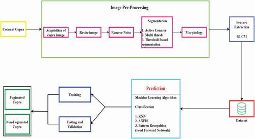 Figure 1. Sequential flow for prediction of sulfur content in copra.