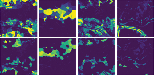 Figure 5. The abundance maps after superpixel segmentation and random splitting.