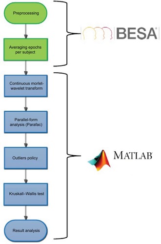 Figure 1 Flow diagram of data analysis.