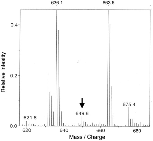 Figure 2. Matrix-assisted laser desorption/ionization time of flight (MALDI-TOF) mass spectrometry of extracts from 10 Drosophila 3rd instar larvae reveals a small peak (arrow) at 649.6 Da, close to the predicted molecular mass of Proctolin (648 Da).