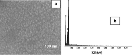 Figure 4. SEM image and EDX spectrum of TFD-co-TFE film deposited on Si(100) by sol--gel spin coating process and annealed at 400°C for 1 h