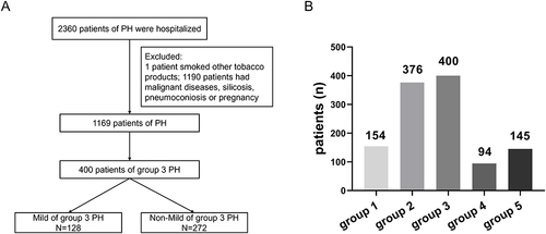 Figure 1 Study population. (A) Flow chart. (B) Distribution of PH patients in 5 groups.