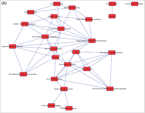 Figure 2. Overlapping networks. 159 canonical pathways were in common among Muse cells, bmMSCs and aMSCs. We determined for each cell type which of these belonged to overlapping networks. The picture shows overlapping networks in Muse cells (A), in bmMSCs (B) and aMSCs (C).