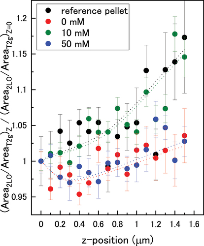 Figure 9. The normalized 2LO/T2g peak height ratios as a function of bicarbonate concentration in the z-direction through the oxide. Dotted lines are a guide for the eye.